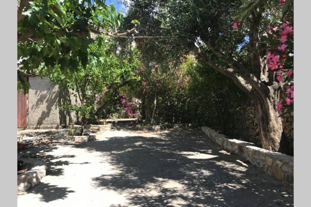 Traditional Stone House In Eastern Mani Flomochori المظهر الخارجي الصورة